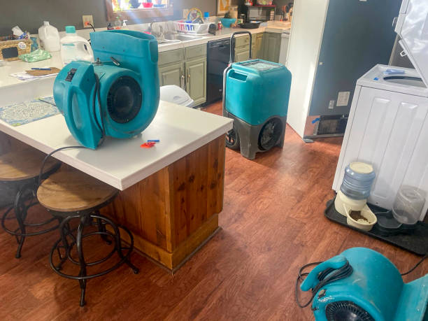 Best Professional water damage repair  in Ponder, TX