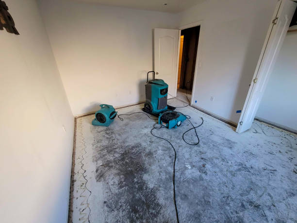 Reliable Ponder, TX Water damage restoration Solutions