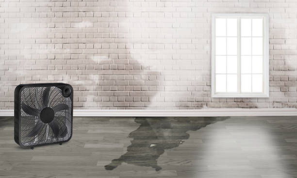 Best Flood damage cleanup  in Ponder, TX