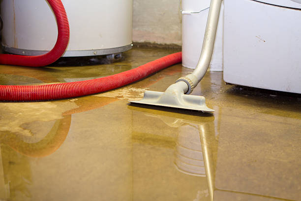 Best Fire Damage Restoration  in Ponder, TX