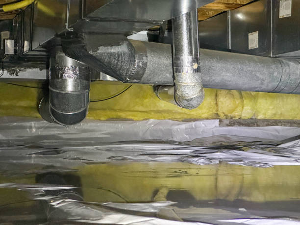 Best Professional water damage repair  in Ponder, TX