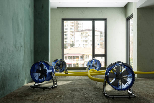 Best Emergency water damage restoration  in Ponder, TX